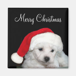 Aimant Noël de Bichon Frise