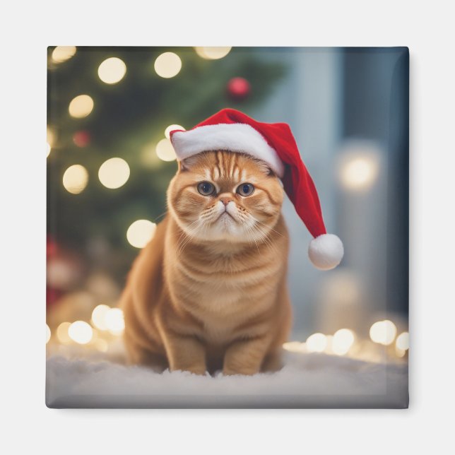 Aimant Noël Exotique Shorthair (Devant)