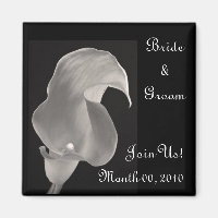 Noir et blanc Calla Lily
