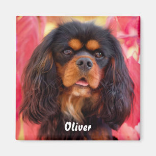 Aimant Noir et Tan Cavalier King Charles Spaniel Chien