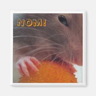 Aimant Nom !