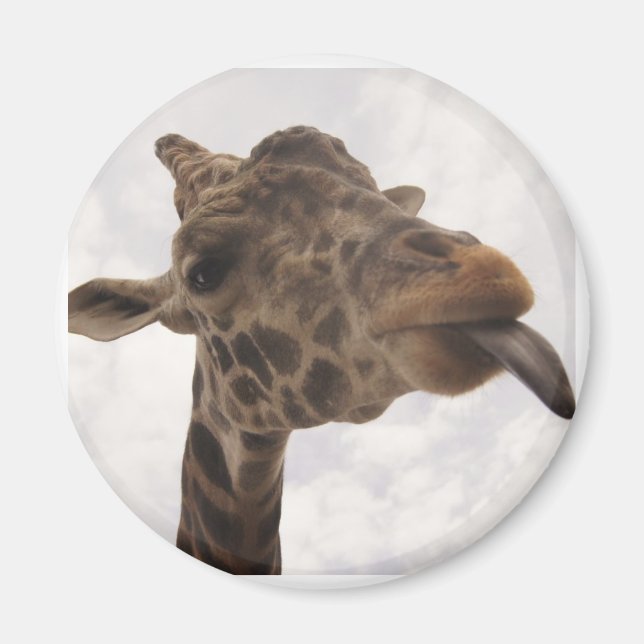 Aimant non défini (Devant)