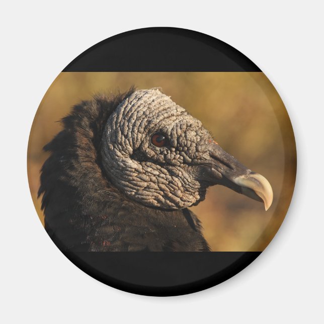 Aimant Nooks & Crannies (Devant)