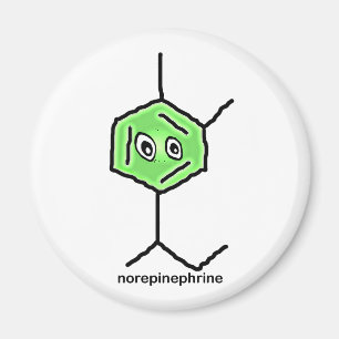 Aimant norépinéphrine