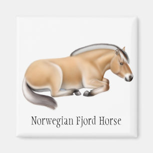 Aimant norvégien de cheval de fjord