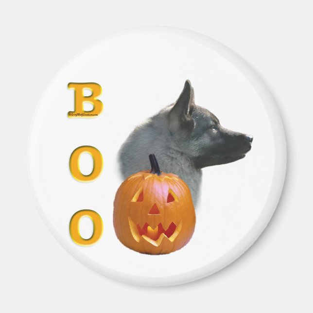 Aimant Norvégien Elkhound Boo (Devant)