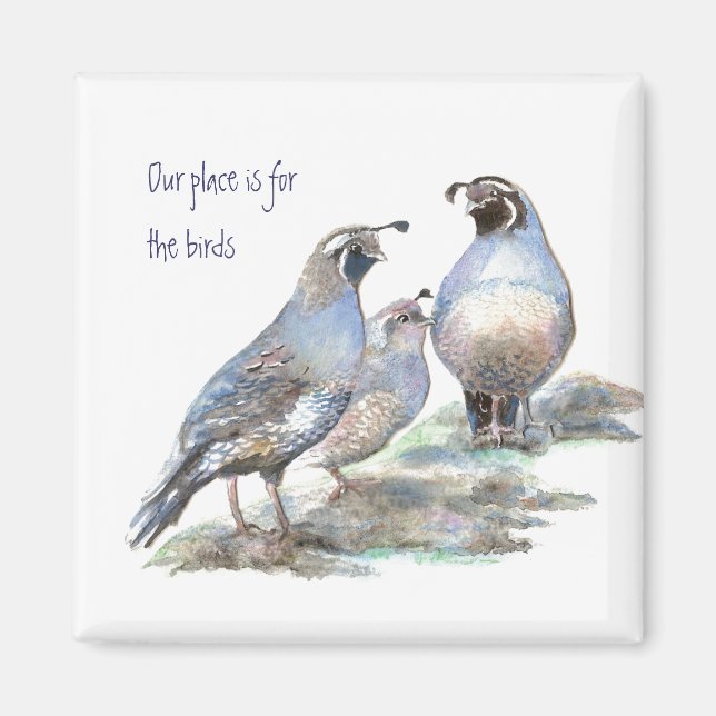 Aimant Notre place est pour les oiseaux, California Quail (Devant)