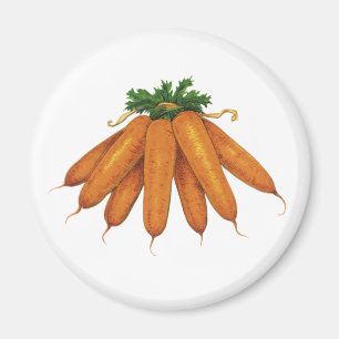 Aimant Nourriture vintage, Bund de carottes biologiques L