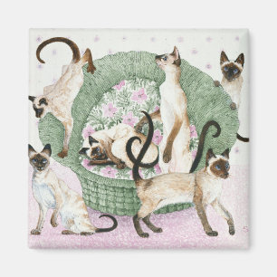 Aimant Nous sommes siamois si vous svp