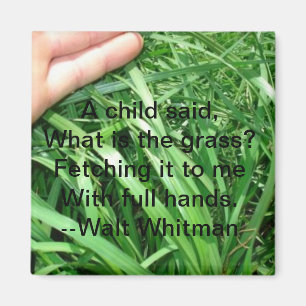 Aimant Nouveau jeu d'aimants parents 5 sur 5