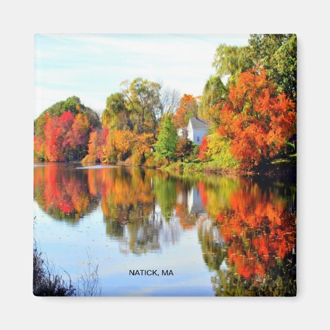 AIMANT NOUVELLE-ANGLETERRE (Devant)