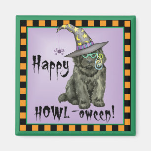 Aimant Nouvelle sorcière