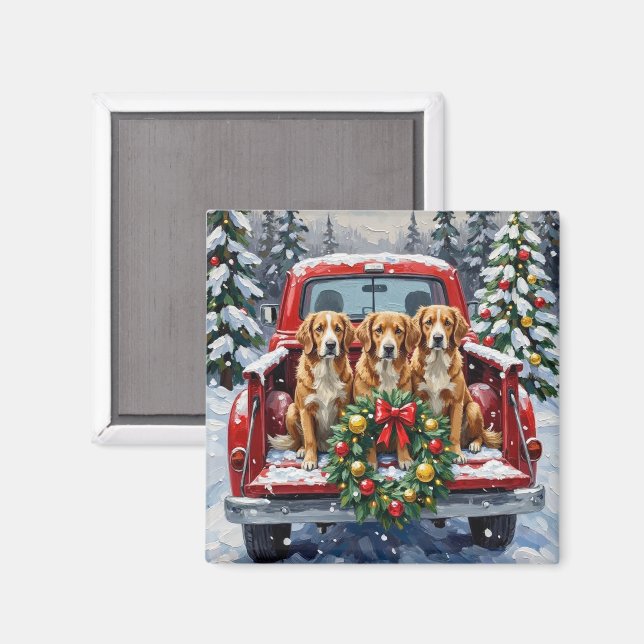 Aimant Nova Scotia Duck Tolling Retriever Christmas Red (Recto/Verso)