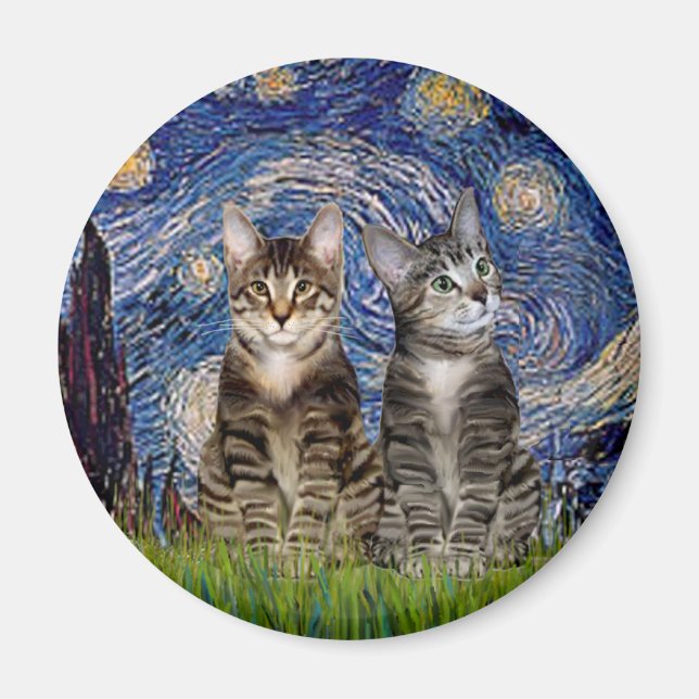 Aimant Nuit étoilée - Deux chats en tigre Tabby (Devant)
