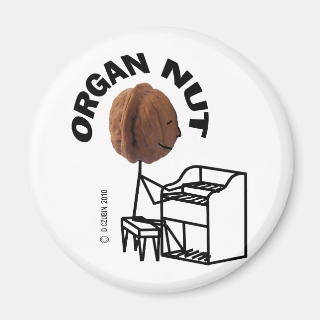Aimant Nut d'orgue (Devant)