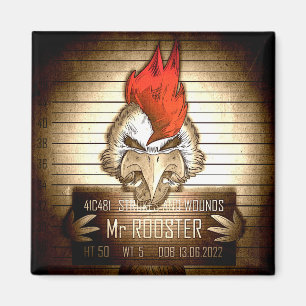 Aimant Objectif M. Rooster Vintage
