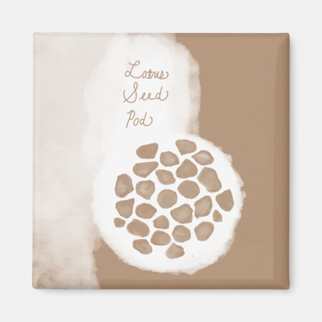 Aimant objet_11_pod de graines de lotus (Devant)