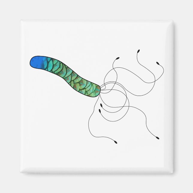 Aimant Objet microbe à plumes (Devant)