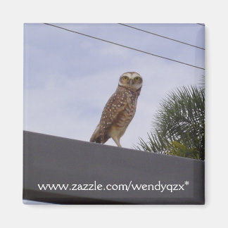 Aimant Observateur Owl