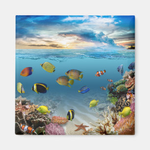 Aimant Océan Corail Reef Poisson tropical