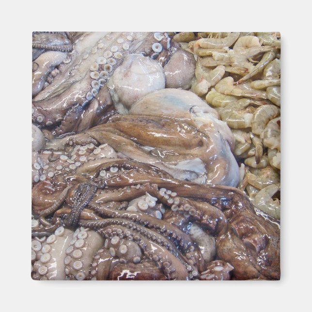 Aimant Octopi (Devant)