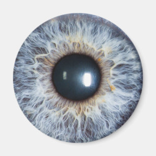 Aimant oeil bleu
