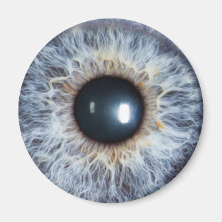Aimant oeil bleu