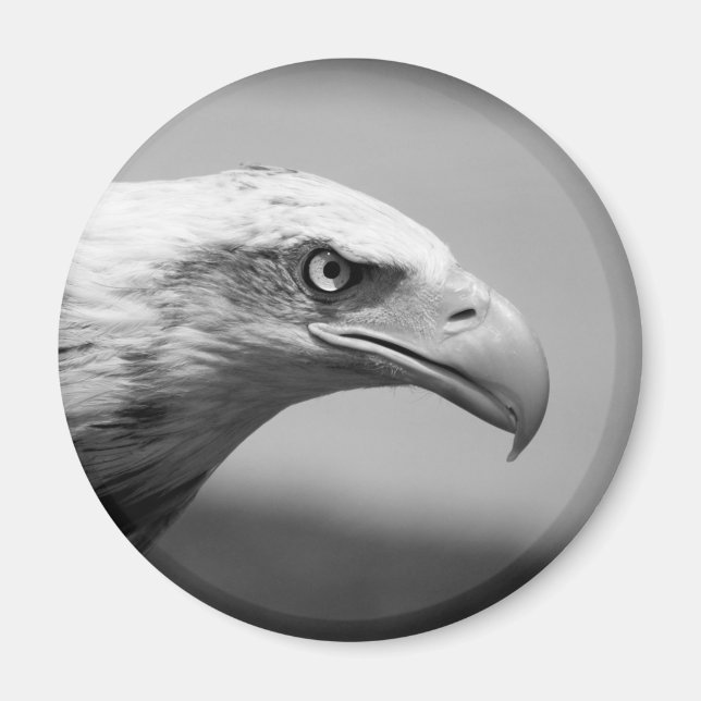 Aimant Oeil d'aigle noir et blanc (Devant)