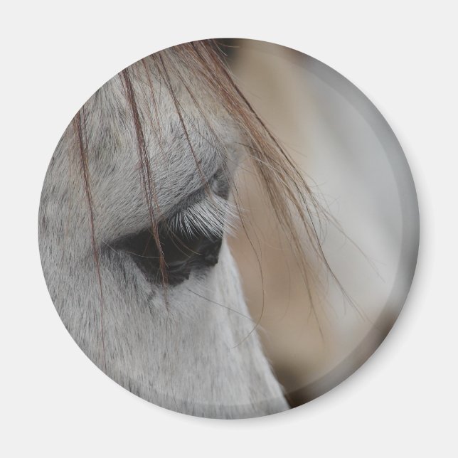 Aimant Oeil de Cheval gris (Devant)