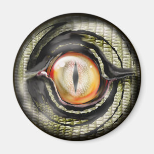 Aimant oeil de dragon