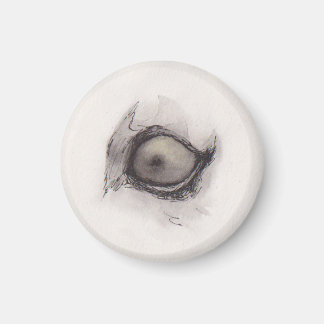 Aimant Œil de l'hyène – Collection Regards