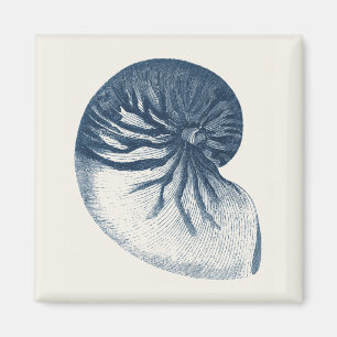Aimant Oeil de requin Indigo
