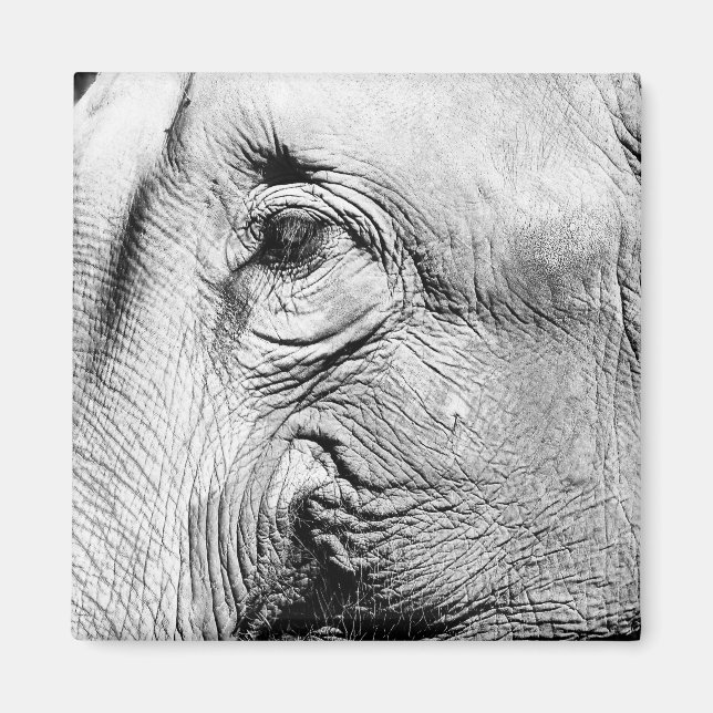 Aimant Oeil des éléphants, 2017 (Devant)