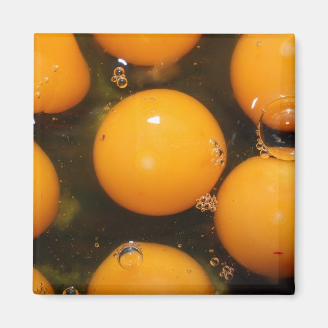 Aimant Oeuf (Devant)