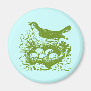 Aimant OEufs d'oiseaux Vintages et nid