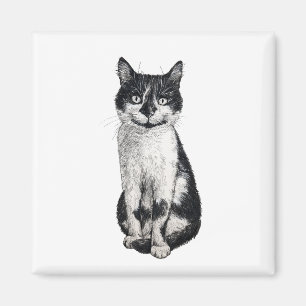 Aimant Ogie le chat