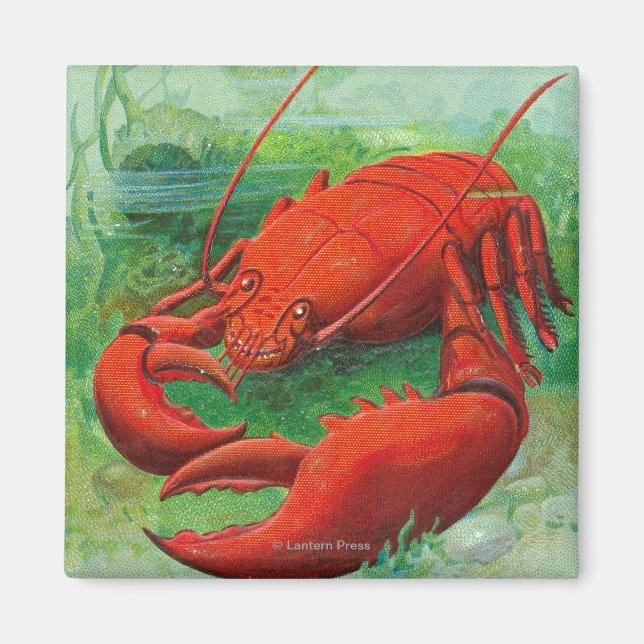 Aimant Oh Vous Scène De Homard (Devant)