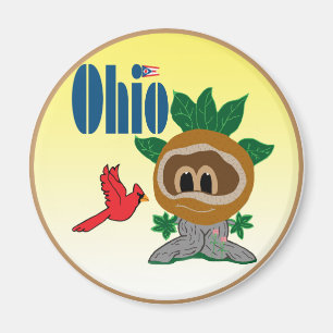 Aimant Ohio