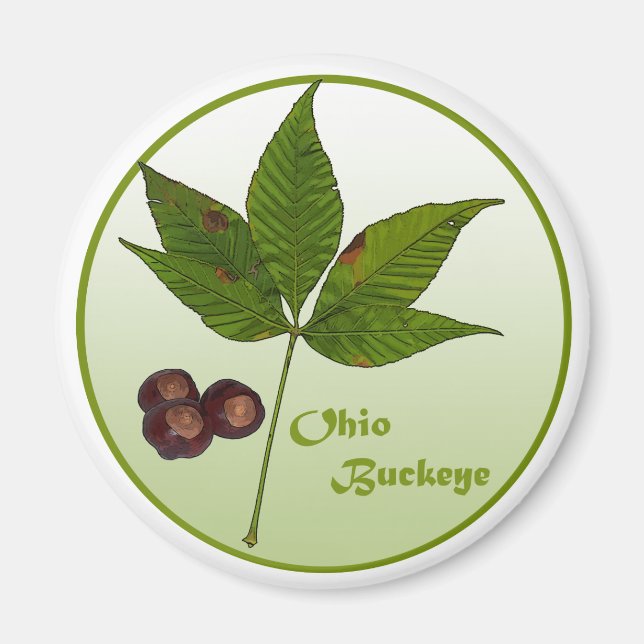 Aimant Ohio Buckeye Tree (Devant)