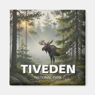 Aimant Oie dans le parc national de Tiveden Suède Voyage