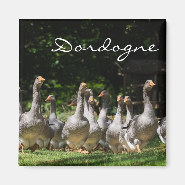 Aimant Oies dans l'aimant texte de la Dordogne (Devant)