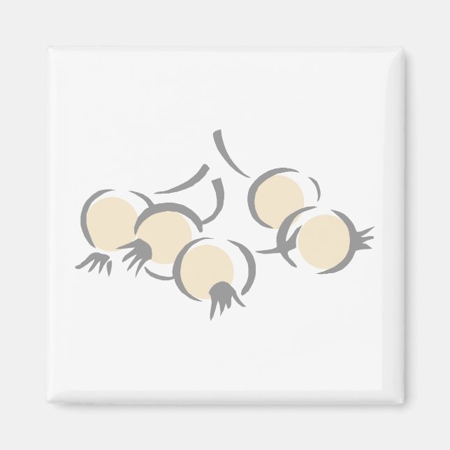 Aimant Oignons perles (Devant)