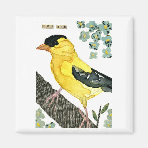 Aimant Oiseau : Chardonneret