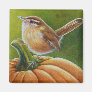 Aimant Oiseau d'automne Wren sur Orange Citrouille aquare