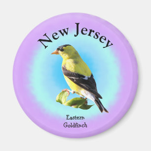 Aimant Oiseau d'État du New Jersey