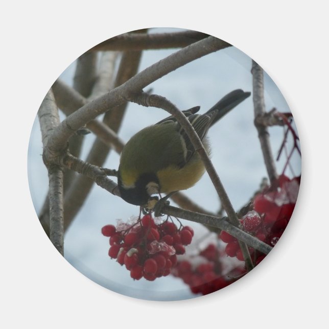 Aimant Oiseau et Berry (Devant)