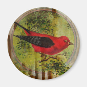 Aimant Oiseau rouge vintage