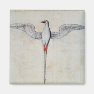 Aimant Oiseau tropical