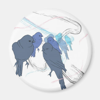 Aimant oiseaux