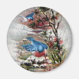 Aimant Oiseaux bleus dans Noël de cru d'hiver
